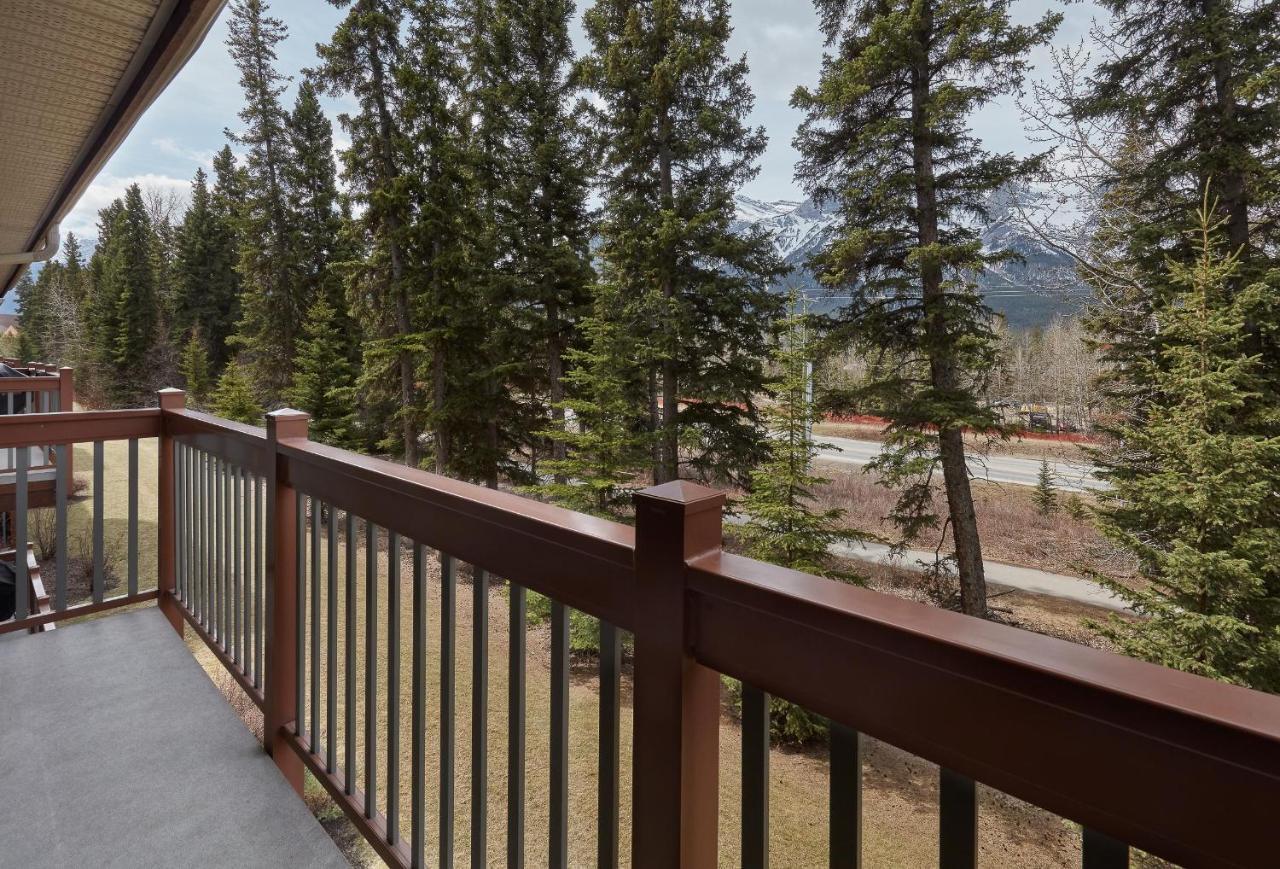 קאנמור Newly Renovated Grizzly Lodge, Spacious 3Br 2Ba With Open Pool, Hot Tub מראה חיצוני תמונה