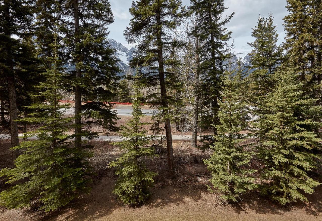 קאנמור Newly Renovated Grizzly Lodge, Spacious 3Br 2Ba With Open Pool, Hot Tub מראה חיצוני תמונה